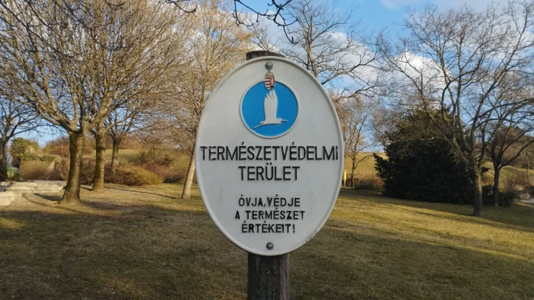 Redmi Note 11 okostelefon teszt 46