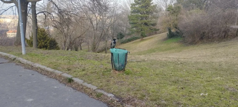 Redmi Note 11 okostelefon teszt 52