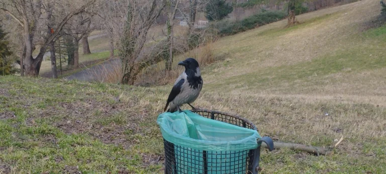 Redmi Note 11 okostelefon teszt 63