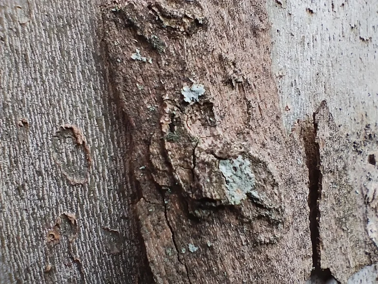 Redmi Note 11 okostelefon teszt 65