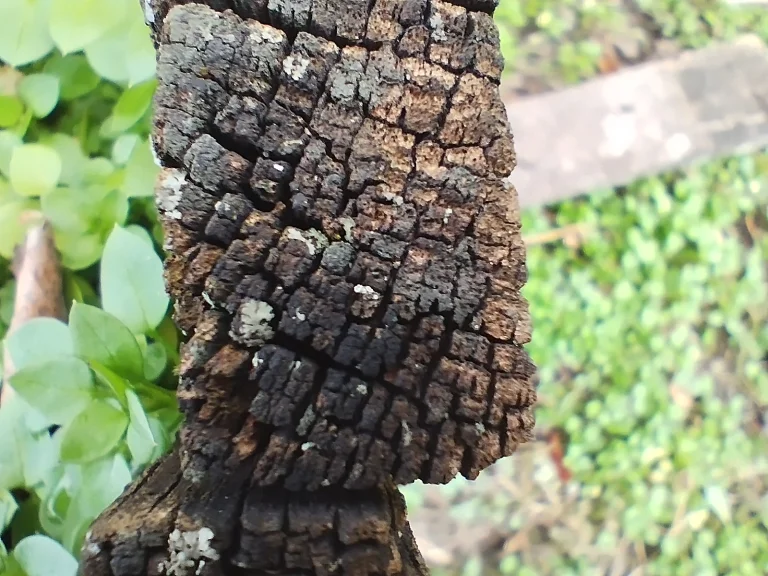 Redmi Note 11 okostelefon teszt 68