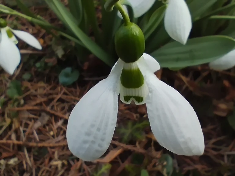 Redmi Note 11 okostelefon teszt 71