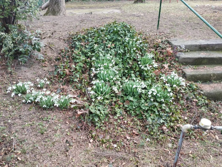 Redmi Note 11 okostelefon teszt 36