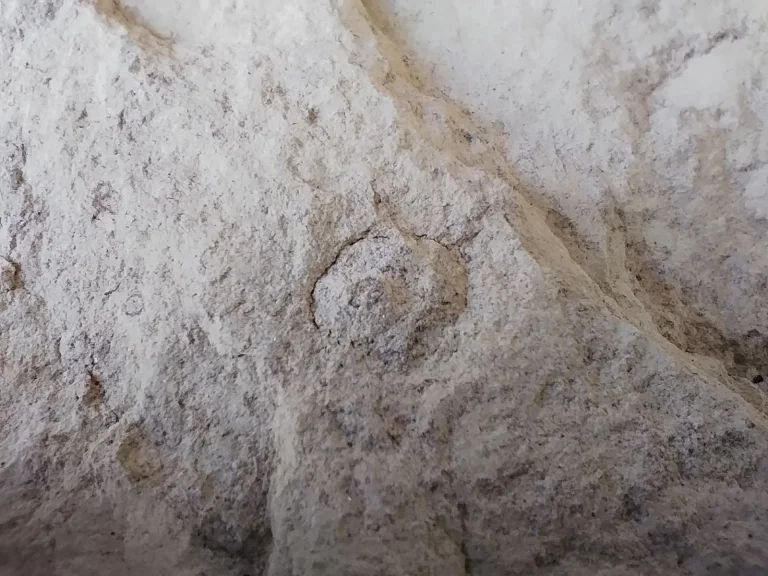 Prueba 4 del teléfono inteligente Poco X48 Pro