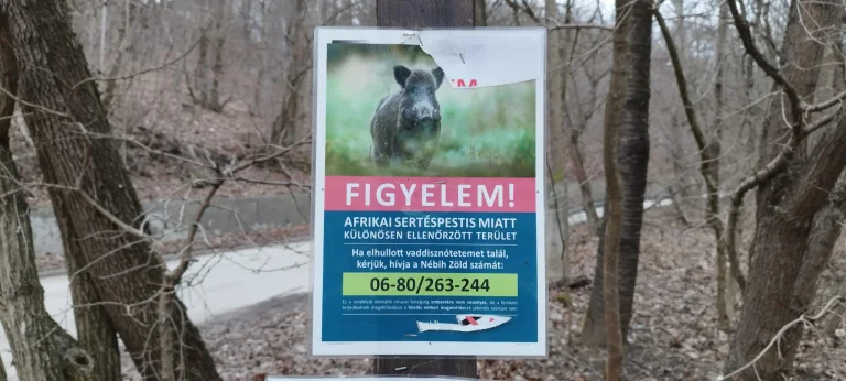 Prueba 4 del teléfono inteligente Poco X77 Pro