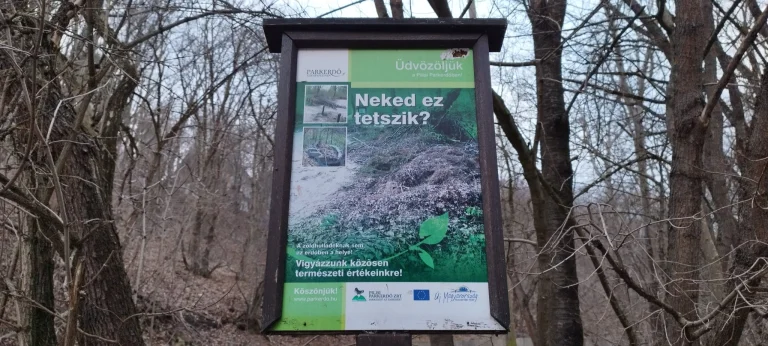 Prueba 4 del teléfono inteligente Poco X78 Pro