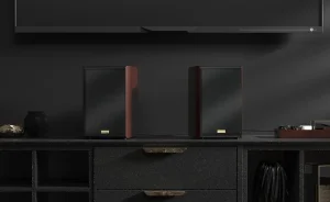 Lassan a budget kategóriába sorolható a BW-WOO2