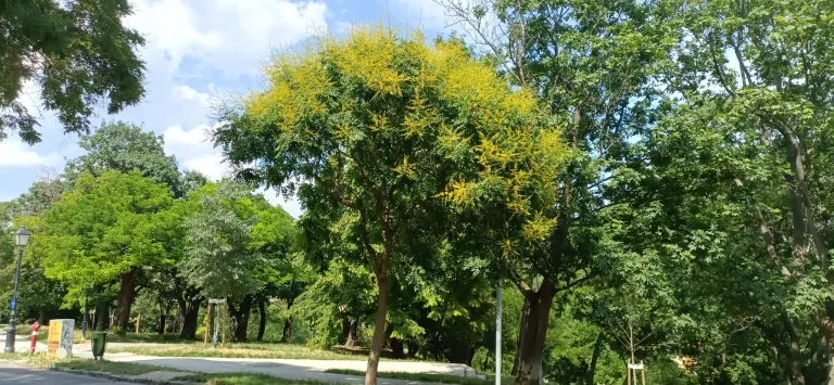 Doogee S98 rugged phone test 42