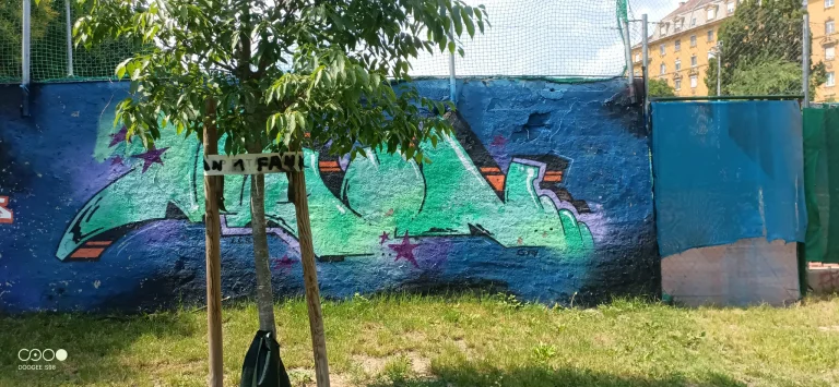 Doogee S98 rugged phone test 45