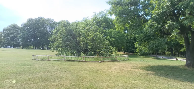 Doogee S98 rugged phone test 47