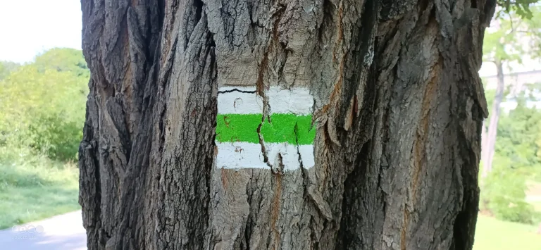 Doogee S98 rugged phone test 55