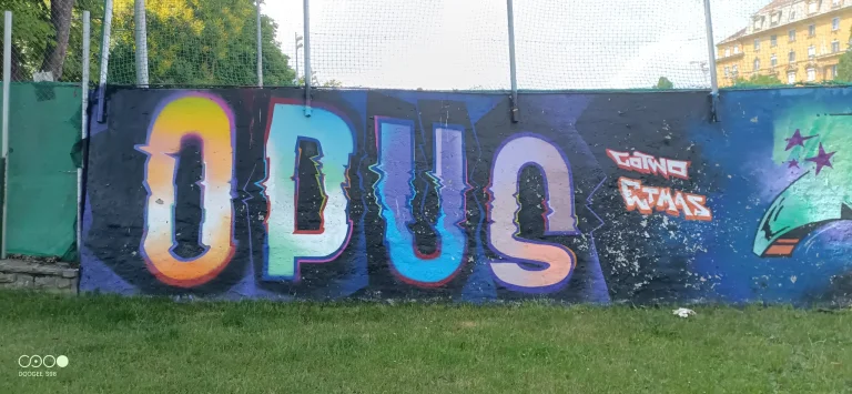 Doogee S98 rugged phone test 57