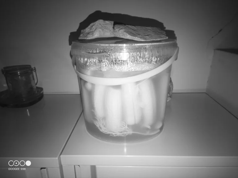 Doogee S98 rugged phone test 66