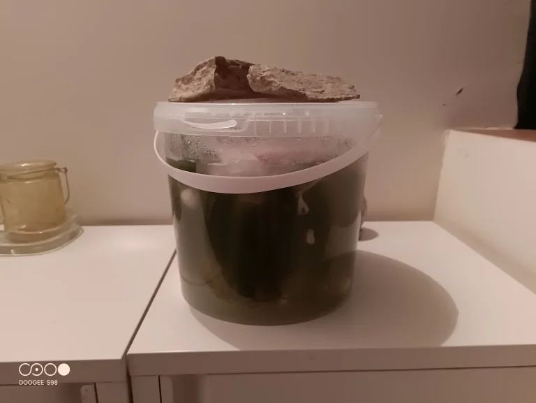 Doogee S98 rugged phone test 69