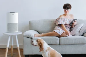 Ismét 20 ezer forint alá kúszott a BlitzHome BH-AP1C ára