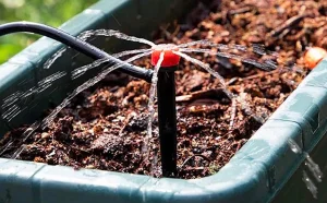 A jövő évi csepegtetőrendszert akciósan megrendelhetjük