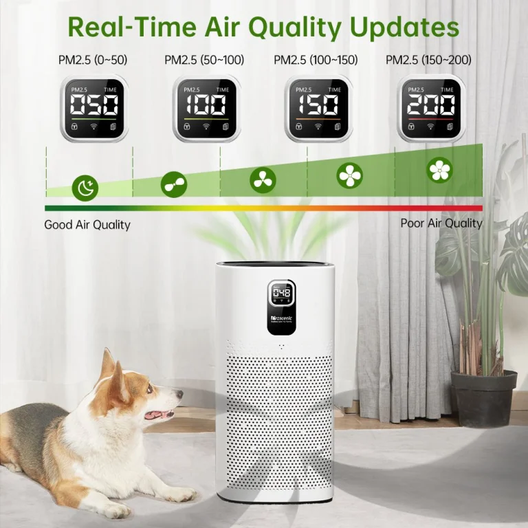 A Proscenic A9-cel megszabadulhattok a téli szmogtól 3