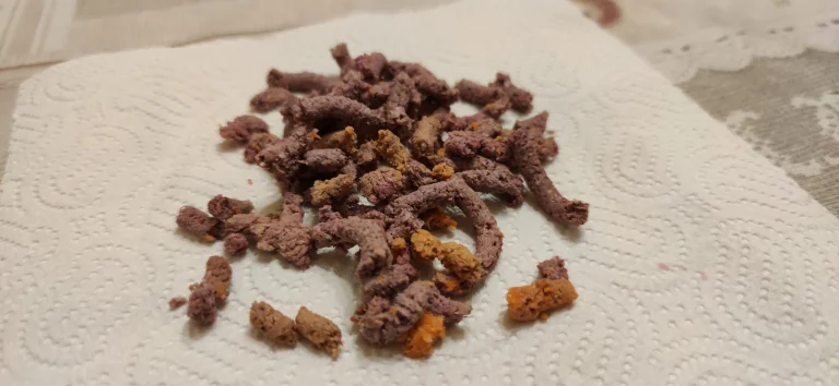 Prueba 01 del exprimidor Blitzhome BH-JC11