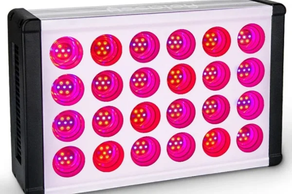 Az egészséges palántanevelés a (nap)fényen múlik 1