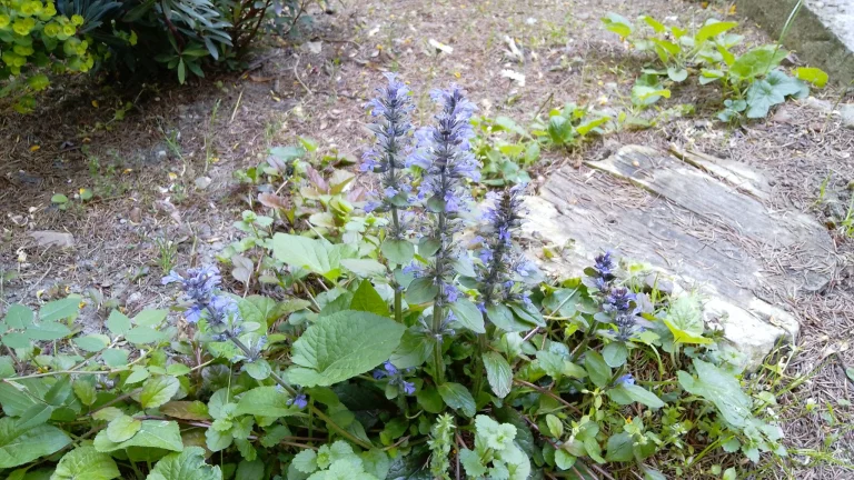 Prueba 15 de la tableta Blackview Tab 38 Pro