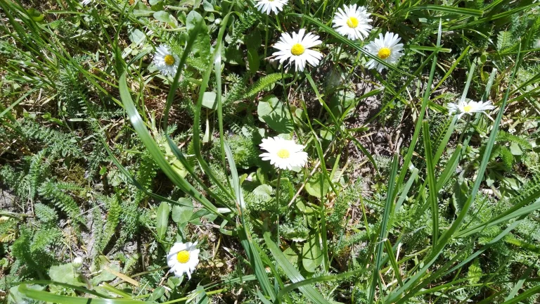 Prueba 15 de la tableta Blackview Tab 40 Pro