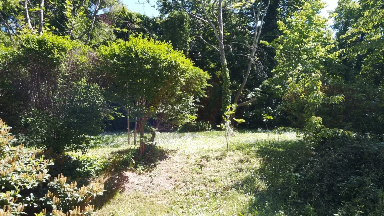 Prueba 15 de la tableta Blackview Tab 41 Pro