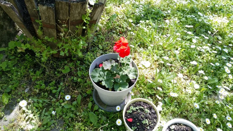 Prueba 15 de la tableta Blackview Tab 43 Pro