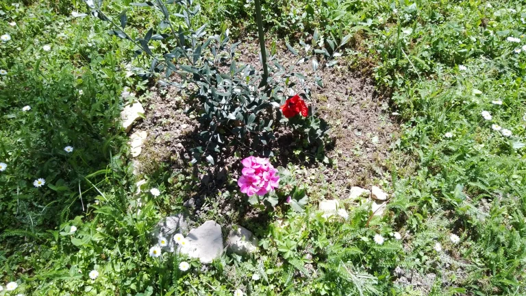 Prueba 15 de la tableta Blackview Tab 44 Pro