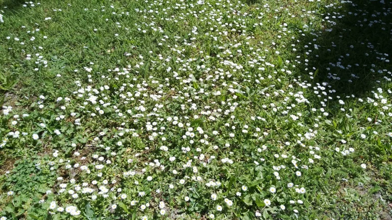 Prueba 15 de la tableta Blackview Tab 45 Pro