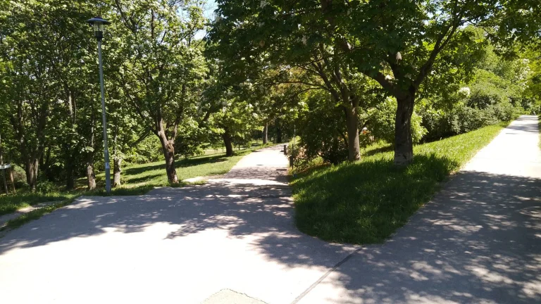 Prueba 15 de la tableta Blackview Tab 47 Pro