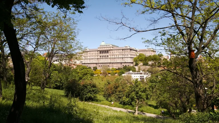 Prueba 15 de la tableta Blackview Tab 48 Pro