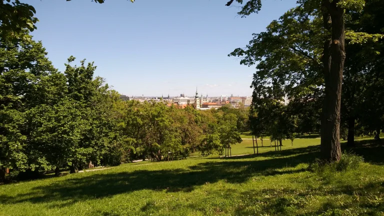 Prueba 15 de la tableta Blackview Tab 50 Pro