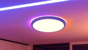 Olcsó okoslámpa a BlitzWilltől, EU raktárból