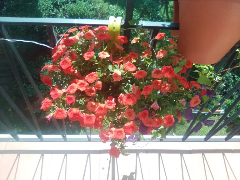 Alldocube iPlay 50 Mini tablet teszt 35