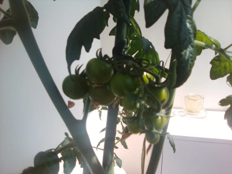 Alldocube iPlay 50 Mini tablet teszt 36