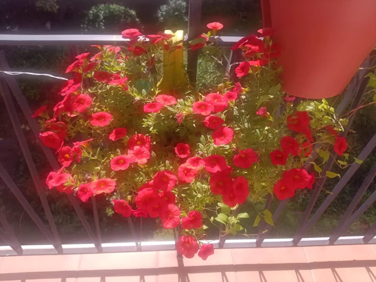 N-One Npad X tablet teszt 36