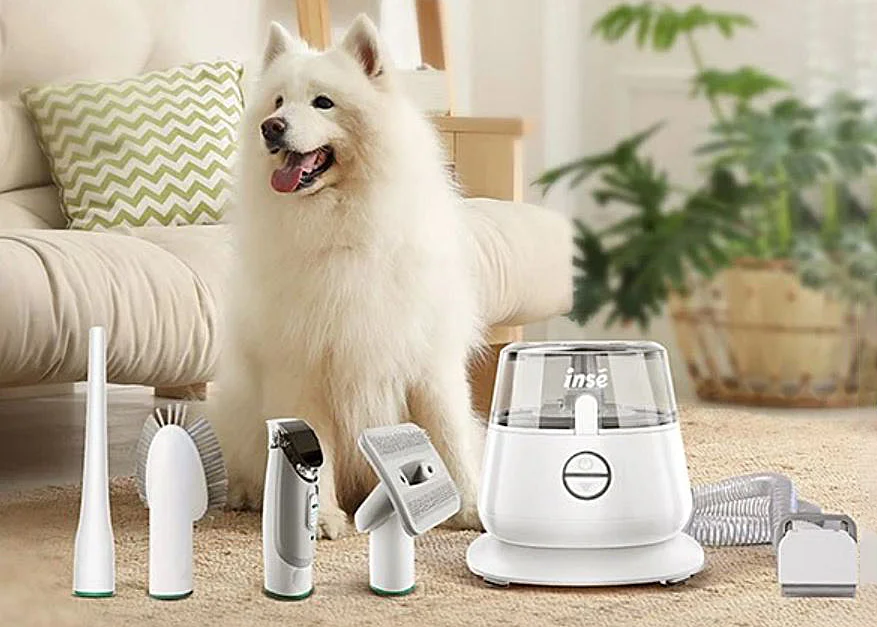 Tedd rendbe kiskedvenced szőrét felfordulás nélkül 1