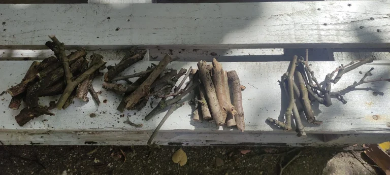 Ingco elektromos metszőolló teszt 12