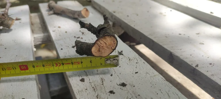 Ingco elektromos metszőolló teszt 13