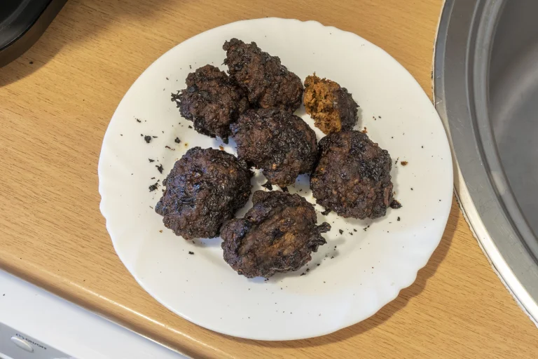 Chefree AFW01 fritőz teszt 17