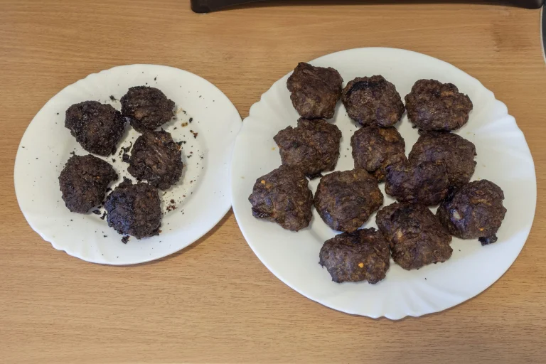 Chefree AFW01 fritőz teszt 19