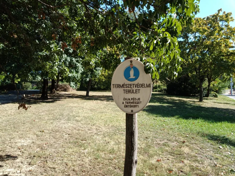 Oukitel RT5 strapatablet teszt 34