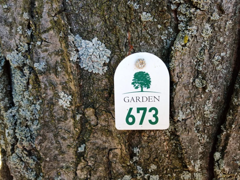 Oukitel RT5 strapatablet teszt 36