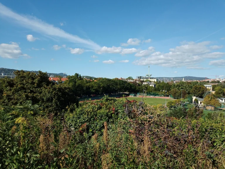 Oukitel RT5 strapatablet teszt 40