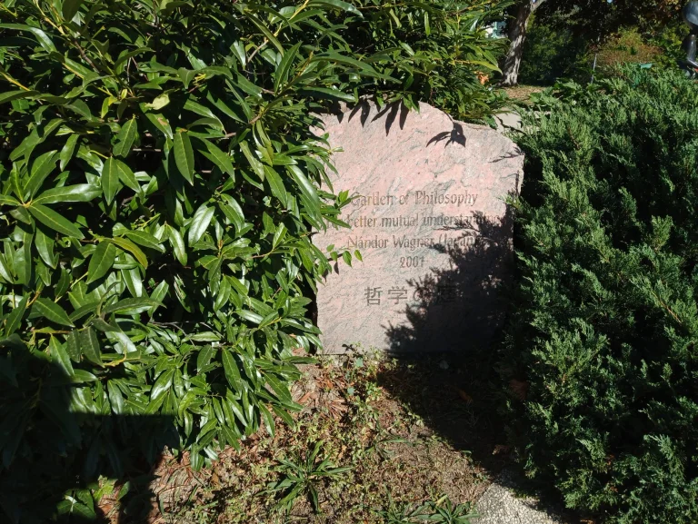 Oukitel RT5 strapatablet teszt 49