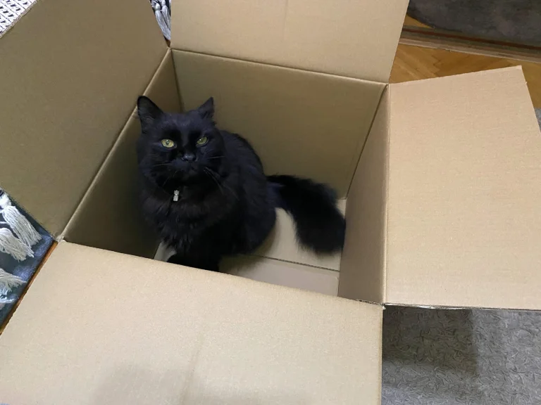 Ultenic TS1 önürítős robotporszívó teszt 19