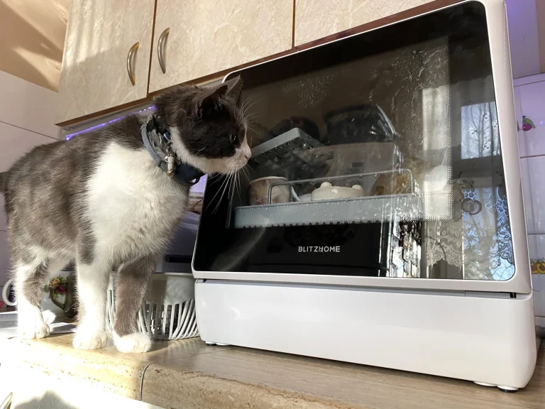 BlitzHome BH-CDW1 hordozható mosogatógép teszt 28