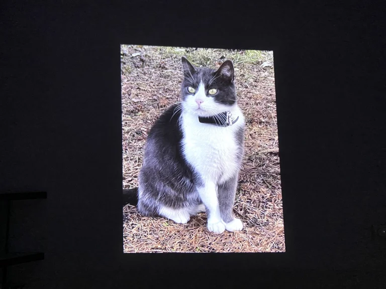 Wanbo X2 Max projektor teszt 37