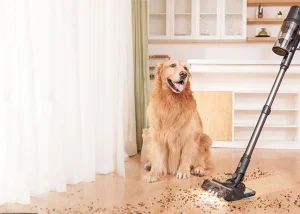 Olcsó akkus porszívó a Proscenictől