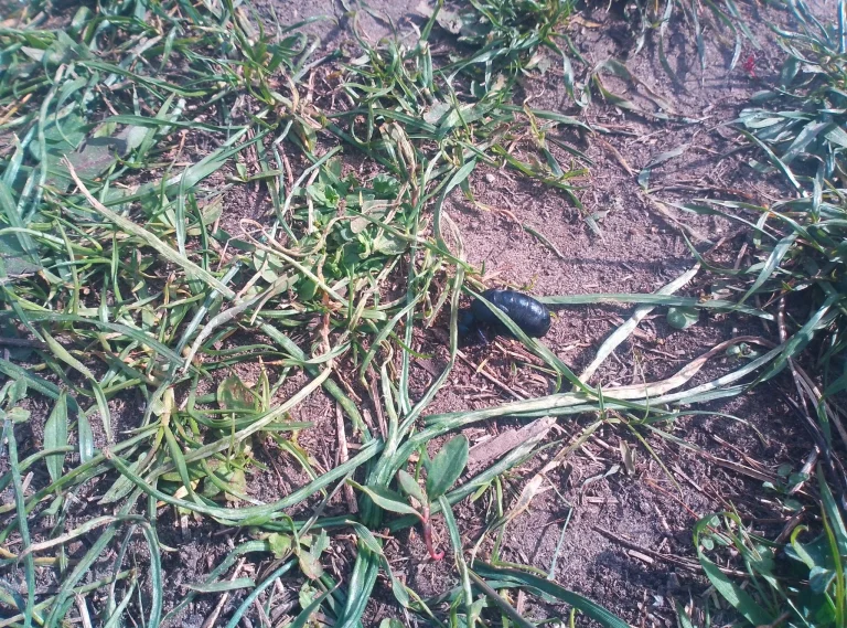 Teclast T60 tablet teszt /Frissítve/ 55